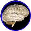 neurologia.gif