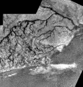 shoreline_med2.jpg